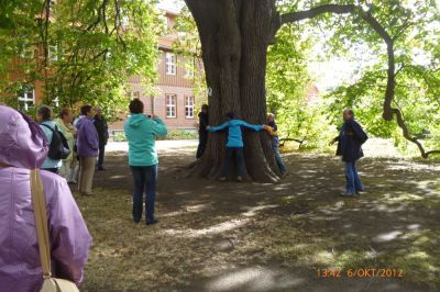 fahrt-in-harz-34.jpg
