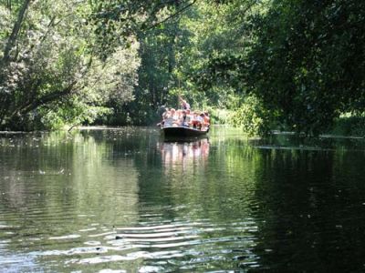 spreewald_64.jpg