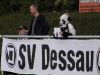 dessau04.jpg