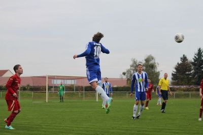 elster05.jpg