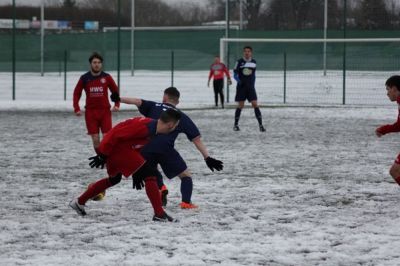 vfl-hallet05.jpg