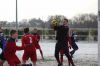 vfl-hallet07.jpg