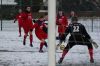 vfl-hallet08.jpg