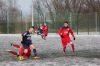vfl-hallet09.jpg