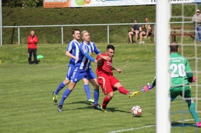 elster07.jpg