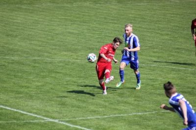 elster15.jpg