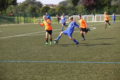 d10.jpg