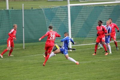 hallescherFC16.jpg