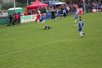 hallescherFC20.jpg