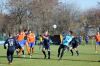 msv-boerde06.jpg