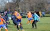 msv-boerde10.jpg