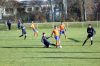 msv-boerde14.jpg