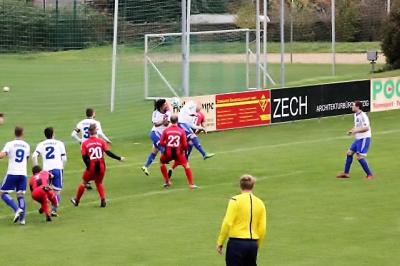elster001.jpg