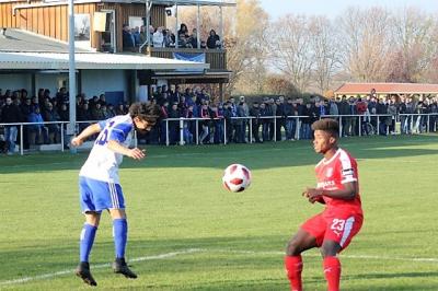 hfc014.jpg