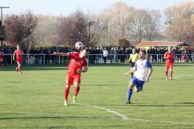 hfc020.jpg