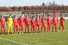 hfc004.jpg