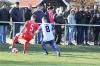 hfc010.jpg