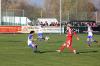 hfc011.jpg