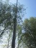 tag-der-offenen-tuer-2012-026.jpg