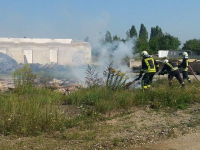feuer-in-kiesgrube-05.jpg