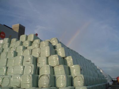 feuerwehrcamp-2010-006.jpg