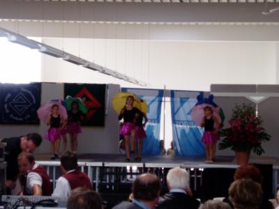gewerbegebietsfest200623_20080131_1021850086.jpg