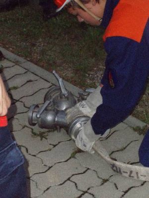 160_jahrfeier_der_freiwilligen_feuerwehr_zorbau5_20080907_1253024704.jpg