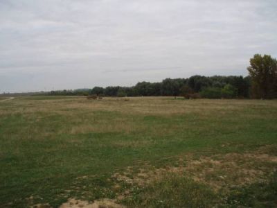 20080922_1761500675_feuerwehr_biwag_2008006.jpg