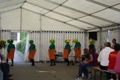 drittes_zorbauer_gewerbegebietsfest31_20090921_1784117439.jpg