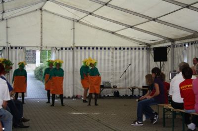 drittes_zorbauer_gewerbegebietsfest32_20090921_1309479514.jpg