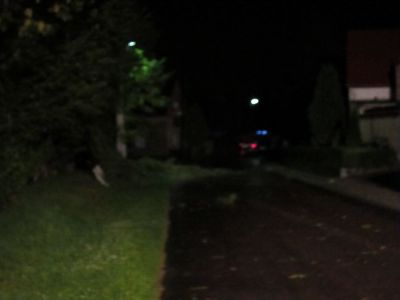 Einsatz nach Sturmschaden in Nellschtz

