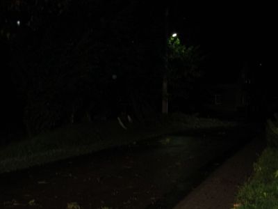 Einsatz nach Sturmschaden in Nellschtz
