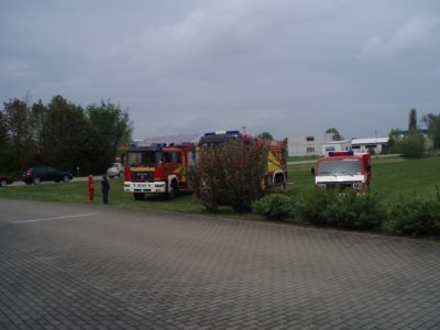 ffw_018.JPG