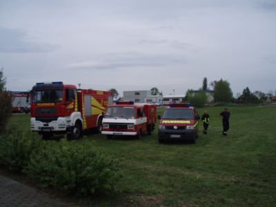 ffw_036.JPG