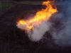 20080323_1680552102_osterfeuer0008.jpg
