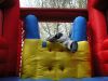 tag_der_offenen_tuer06119_20080131_1714667491.jpg