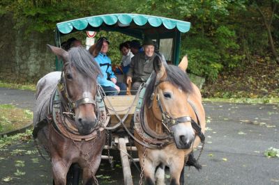 2012-10-06-fahrt-in-harz-04.jpg