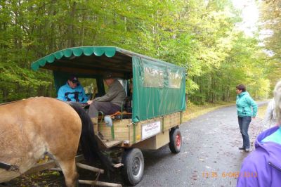 fahrt-in-harz-17.jpg