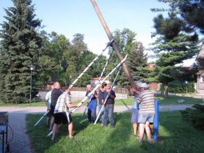 maibaum-2015-08-07-13.jpg