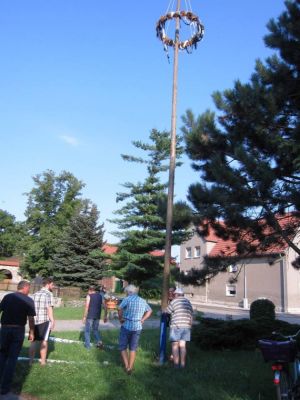 maibaum-2015-08-07-14.jpg