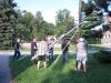 maibaum-2015-08-07-18.jpg