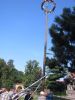 maibaum-2015-08-07-21.jpg