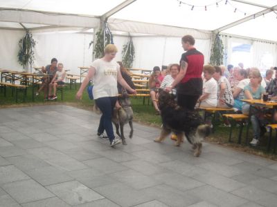 festanger124.jpg