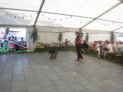 festanger125.jpg
