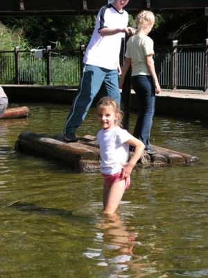 spreewald_3.jpg