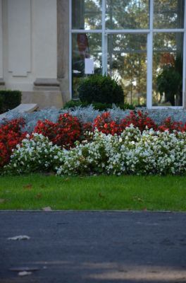 fahrt-nach-altenburg-2011-052.jpg