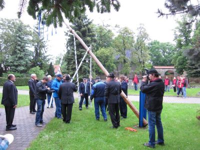 Aufrichten des Maibaums
