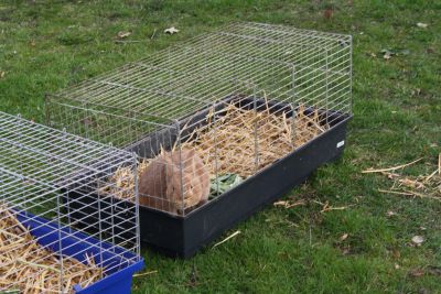 2ostern_2010_016.jpg