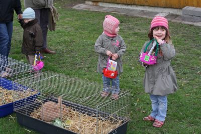 2ostern_2010_029.jpg