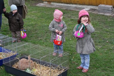 2ostern_2010_030.jpg